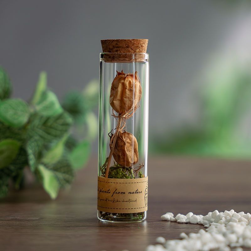 Dried flowers in glass test tubes