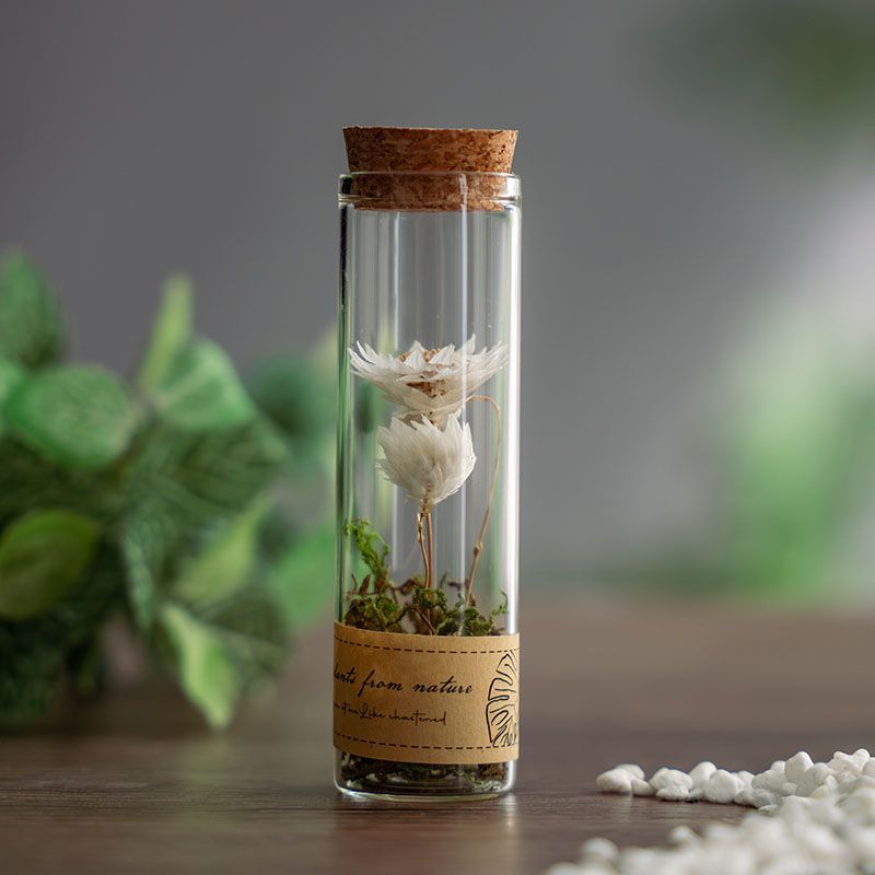 Dried flowers in glass test tubes