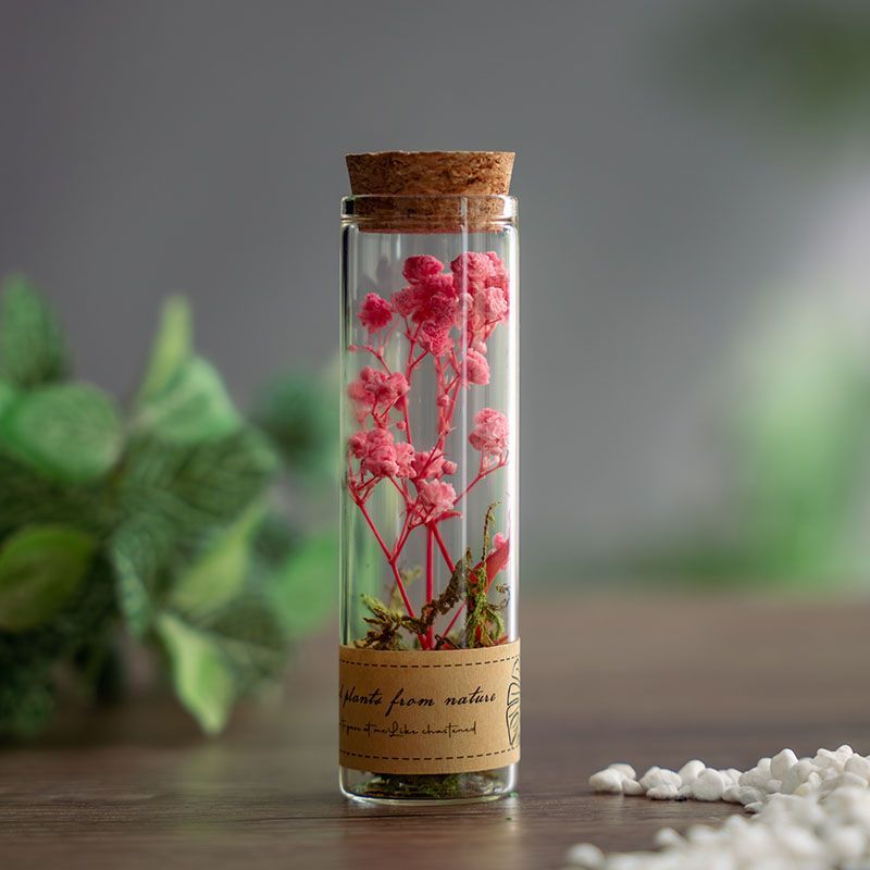 Dried flowers in glass test tubes
