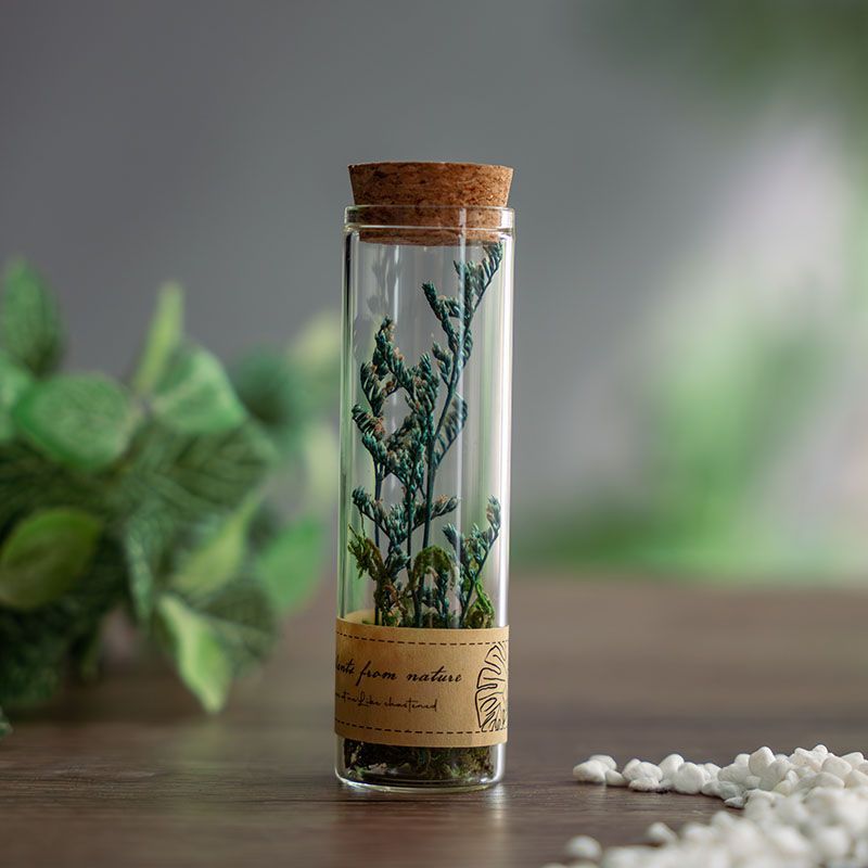 Dried flowers in glass test tubes