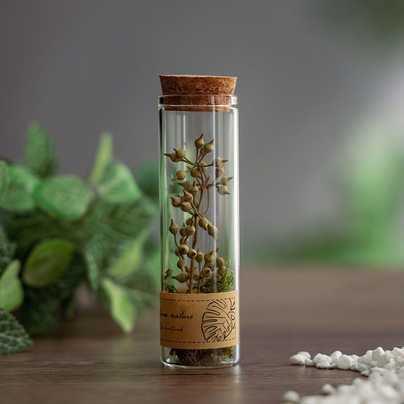 Dried flowers in glass test tubes